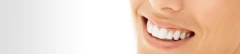 Logo Wang, Dongli Dr.
