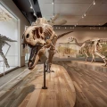 Dr. Dorothee Ade IKU Institut f&uuml;r Kulturvermittlung GbR Arch&auml;ologie &iquest; Ausgrabung &iquest; Baubegleitung &iquest; Auswertung - Ausstellung Rottenburg