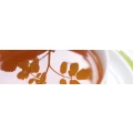 Logo Petersen, Dunja Dr.