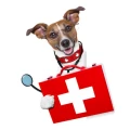 Logo Bader-Mechler, Franziska Dr.