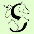 Logo Kotter, H. Dr.