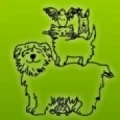 Logo Hildebrand, Heike Dr.