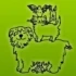 Logo Dr. Heike Hildebrand Tierärztin