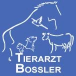 Logo Bo&szlig;ler-Keil, Ina Dr.