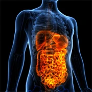 Dr.med. Andreas Hartmann Facharzt für Innere Medizin Landsberg