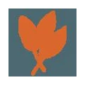 Logo Scheuernstuhl, Annelie Dr.med.
