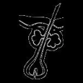 Logo Hegemann, Bernd Dr.med.