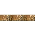 Logo Krieger, Bernhard Dr.med.