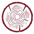 Logo Einnolf, Christiane Dr.med.
