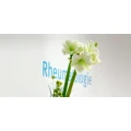 Logo Pittius, Claus-Walter Dr. med.