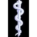 Logo Link, Cordula Dr.med.