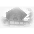 Logo Busse, Cornelia Dr.med.