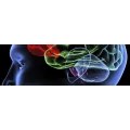 Logo Kadovic, Danilo Dr.med.