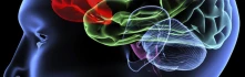Logo Dr.med. Danilo Kadovic Facharzt für Neurologie