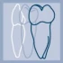 Logo Dr.med.dent. Birgit Rentzsch Zahn&auml;rztin