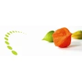 Logo Nikolaus, Christian Dr.med.dent.