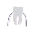 Logo Durst, Gabriele Dr.med.dent.