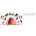 Logo Niestegge, Louis Dr. med. dent.
