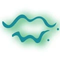 Logo Walter, Markus Dr.med.dent.