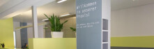 Logo Dr.med.dent. Nicole Stenger Zahnärztin