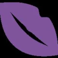 Logo Sch&ouml;nw&auml;lder, Philipp Dr.med.dent.