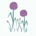 Logo Scholz, Susanne Dr.med.dent.