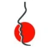 Logo Dr.med.dent. Thomas Riedmann Zahnarzt f.Kieferorthopädie