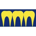 Logo Bollmann, Ulrich Dr.med.dent.