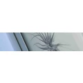 Logo Meyer-Gies, Detlef Dr.med.
