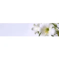 Logo Tigges, Dorothee Dr.med.