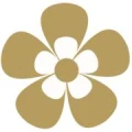 Logo von Sternberg, Norman Dr.med.Dr.med.dent.
