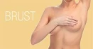 Logo Dr.med. Eugen Spirk Facharzt f&uuml;r Plastische- und &Auml;sthetische Chirurgie