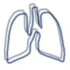 Logo Dr.med. Frank Rosenberger Facharzt für Innere Medizin und Pneumologie