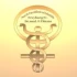 Logo Dr.med. Frank Thieme Facharzt für Frauenheilkunde und Geburtshilfe