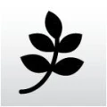 Logo Frenzel, Gerlind Dr.med.