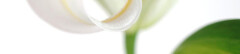 Logo Dr.med. Hans Michael Hedrich Facharzt für Frauenheilkunde und Geburtshilfe