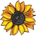 Logo Polley, Ines Dr.med.