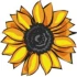 Logo Dr.med. Ines Polley Fach&auml;rztin f. Allgemeinmedizin