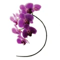 Logo Schuchardt, Jana Dr.med.