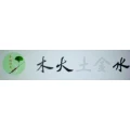 Logo He, Jianping Dr.med.