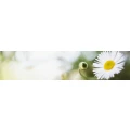 Logo Hoke, Katja Dr.med.