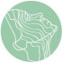 Logo Dr.med. Katrin Konzelmann Fachärztin für Dermatologie