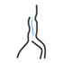 Logo Dr.med. Kay Tiedjen Facharzt für Orthopädie