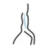 Logo Dr.med. Kay Tiedjen Facharzt für Orthopädie