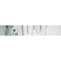 Logo Eckholt, Markus Dr.med.