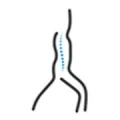 Logo Lepper, Markus Dr.med.