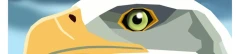 Logo Dr.med. Michael Peuser Facharzt f&uuml;r Augenheilkunde