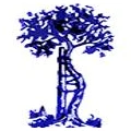 Logo B&uuml;chl, Norbert Dr.med.