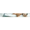 Logo Koch, Peter Dr.med.