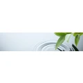 Logo G&uuml;ndling, Peter W. Dr.med.